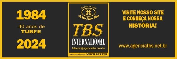 Banner Agencia TBS