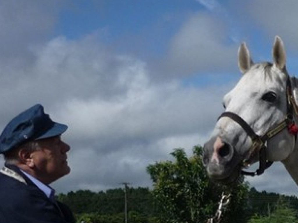 Foto: Especial Leilão da Criação Nacional: Haras Santarém