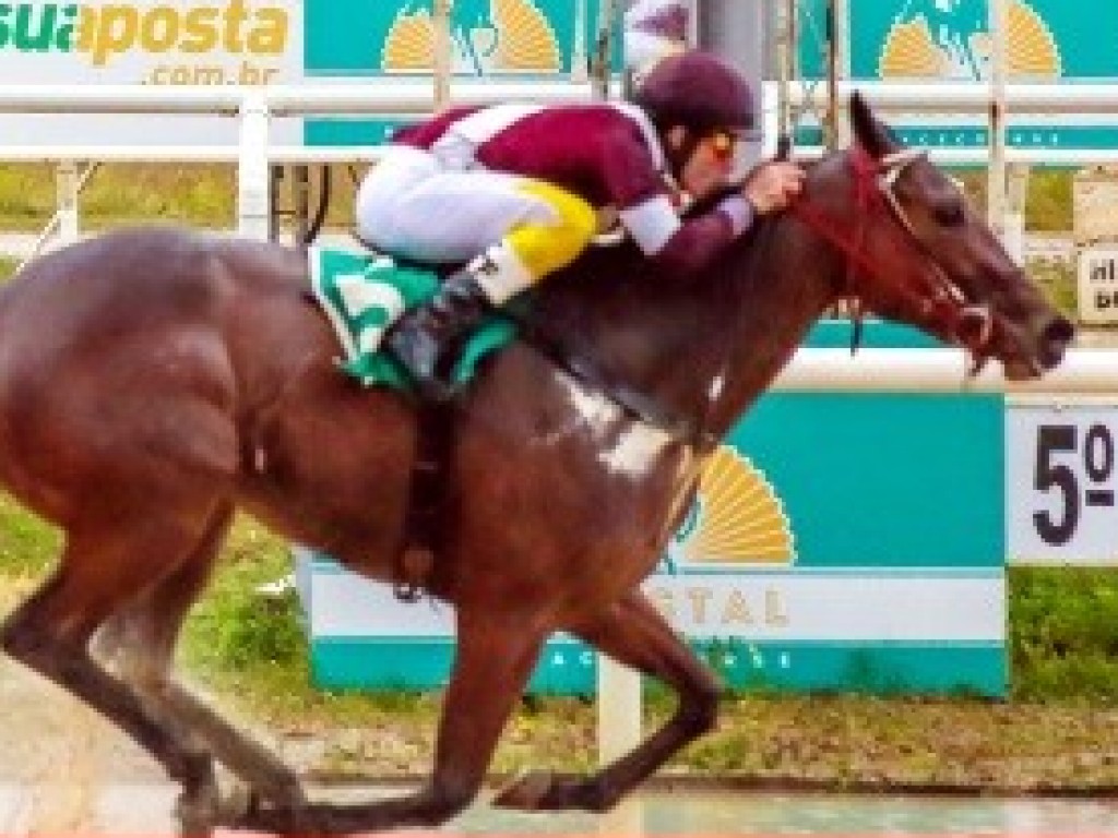 Foto: Olé Gremista e Gergelim brilham nas Taças de Cristal