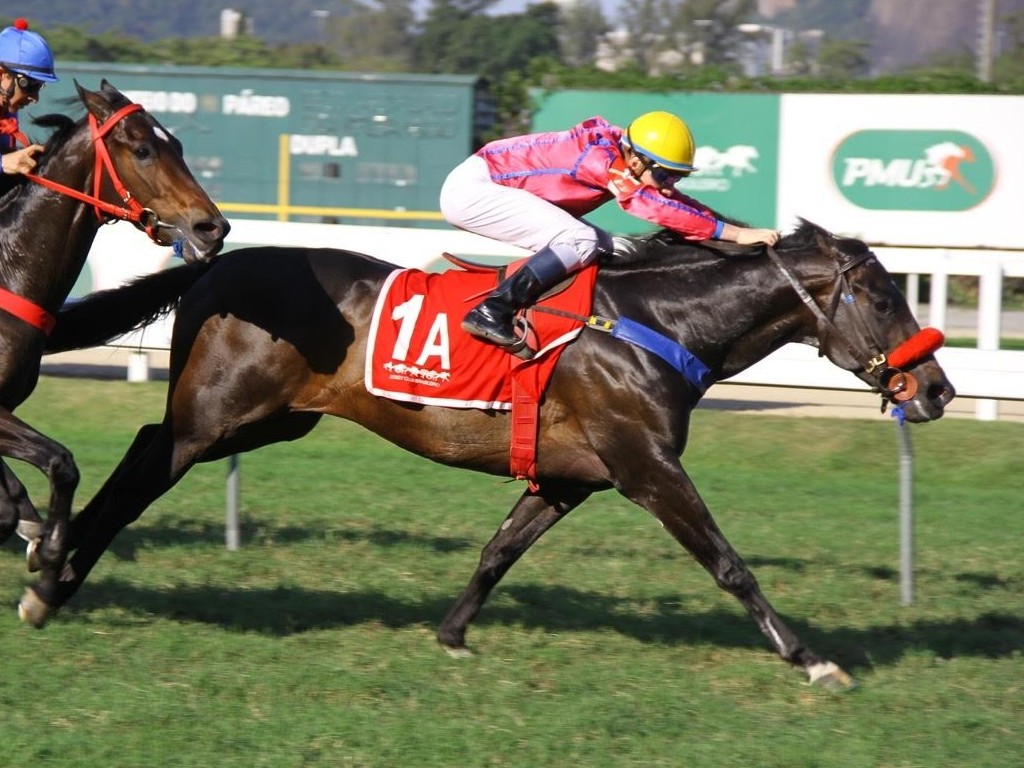 Foto: De volta à pista leve, Knowledge conquista o GP Presidente Vargas (gr.III)