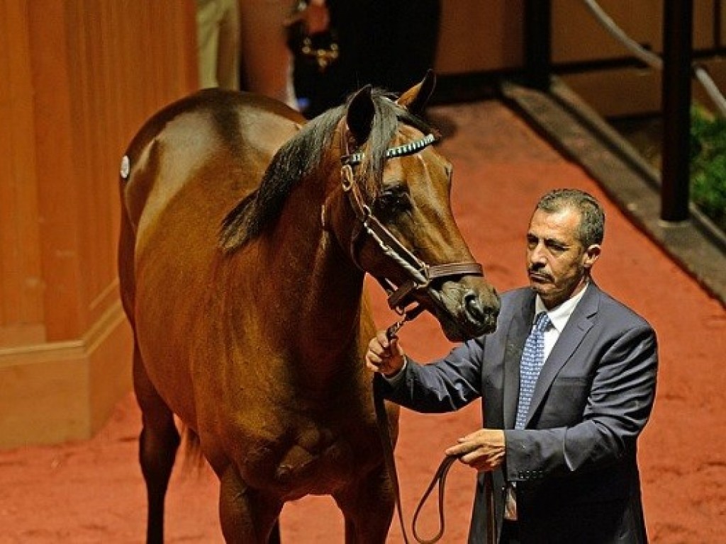 Foto: Mercado: em alta, Fasig-Tipton abre temporada dos leilões de potros