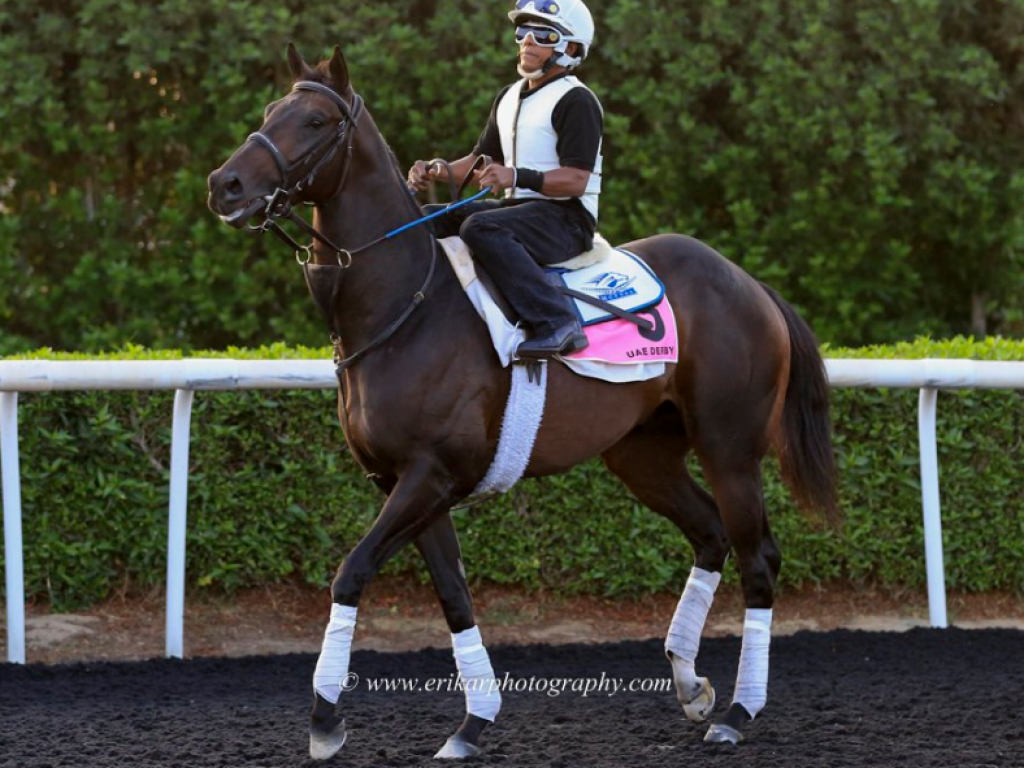 Foto: No sábado, Vettori Kin encara o UAE Derby (gr.II) em Meydan