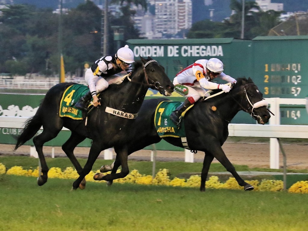 Foto: Marcada por equilíbrio e qualidade, Copa dos Criadores 2018 tem campos divulgados