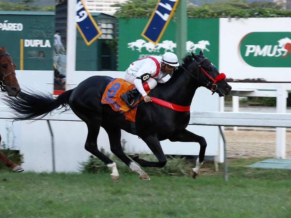 Foto: Balizas das provas de G1 da Copa dos Criadores são divulgadas