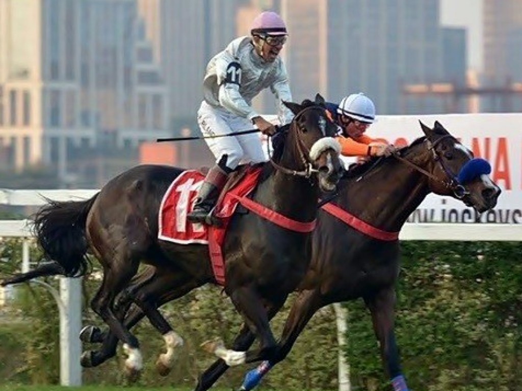 Foto: Vencedora do GP Osaf, Veuve Fourny é exportada para o Japão