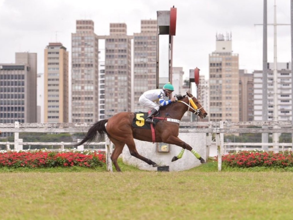 Foto: Dalheconquistadora vence a Prova Especial Colina Verde