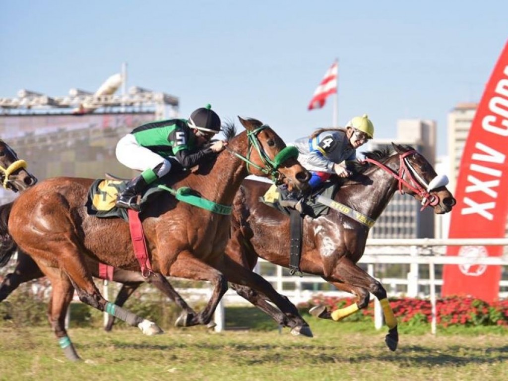 Foto: Pixilim larga e acaba na Copa Japão de Turfe – Itochu Corporation (gr.III)