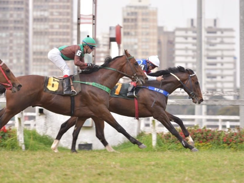 Foto: Royal Forestry aprova os dois quilômetros na PE Quari Bravo