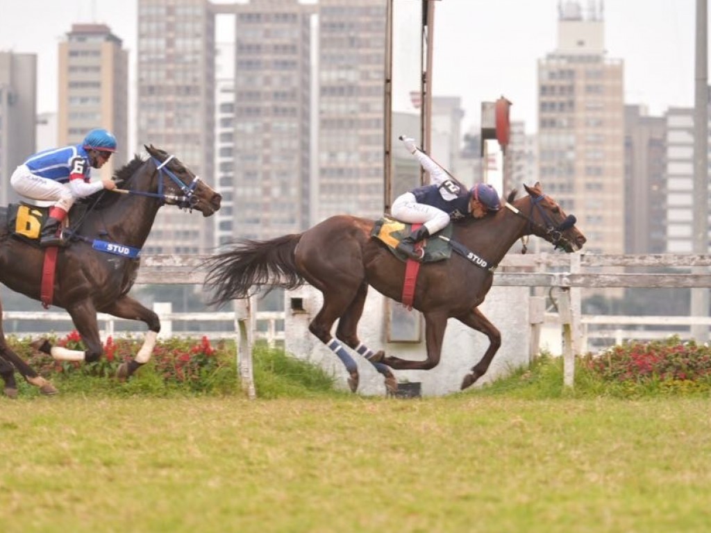 Foto: No Grande Prêmio Independência (gr.III), melhor para Cléo do Jaguarete.