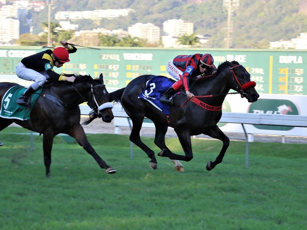 Foto: Olympic Impact conquista o Grande Prêmio Sandpit (gr.III)