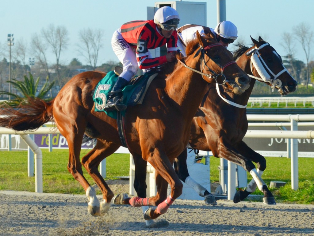 Foto: Olympic Harvard vence listed no Uruguai