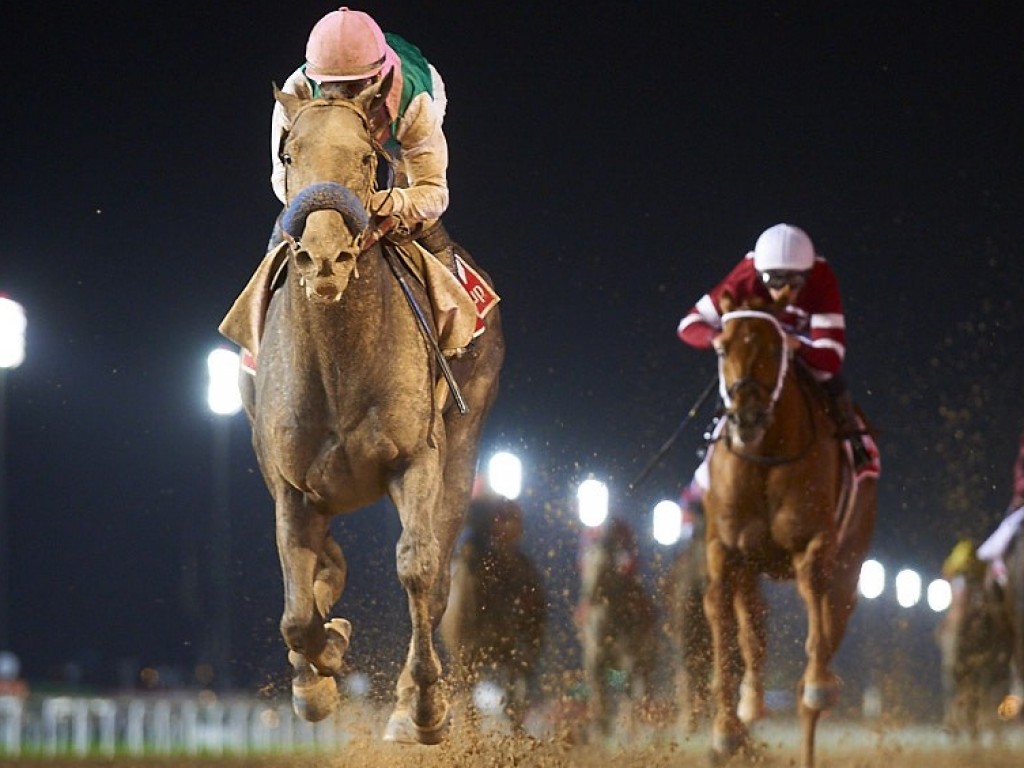 Foto: Arrogate esnoba prejuízos e levanta a Dubai World Cup (gr.I)