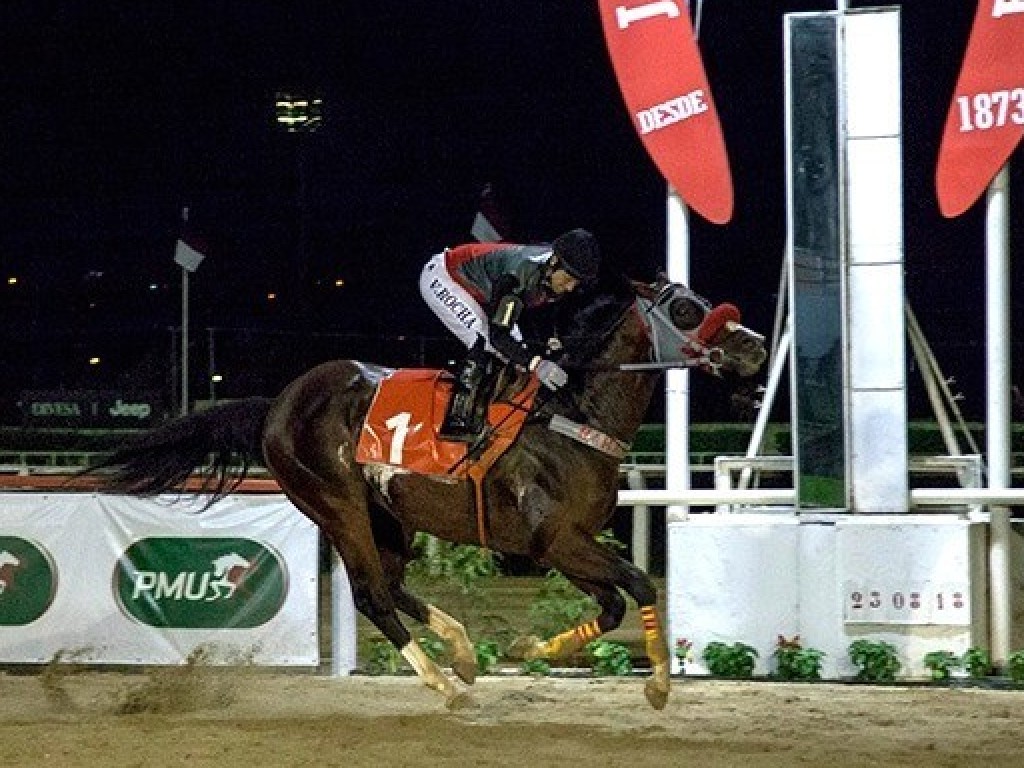 Foto: GP Paraná – Jockey Plaza (gr.III) recebe 11 inscrições