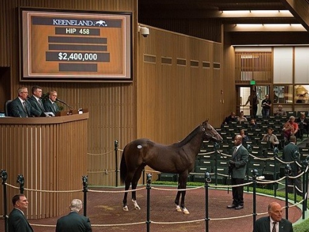 Foto: Keeneland: filho de War Front alcança US$ 2,4 milhões. Neta de Forestry bate US$ 1,75 milhão.