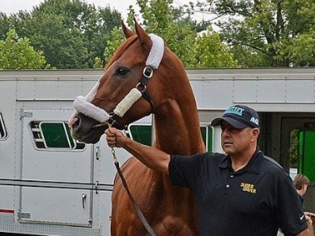 Foto: Criação: depois de American Pharoah, Coolmore alojará Justify