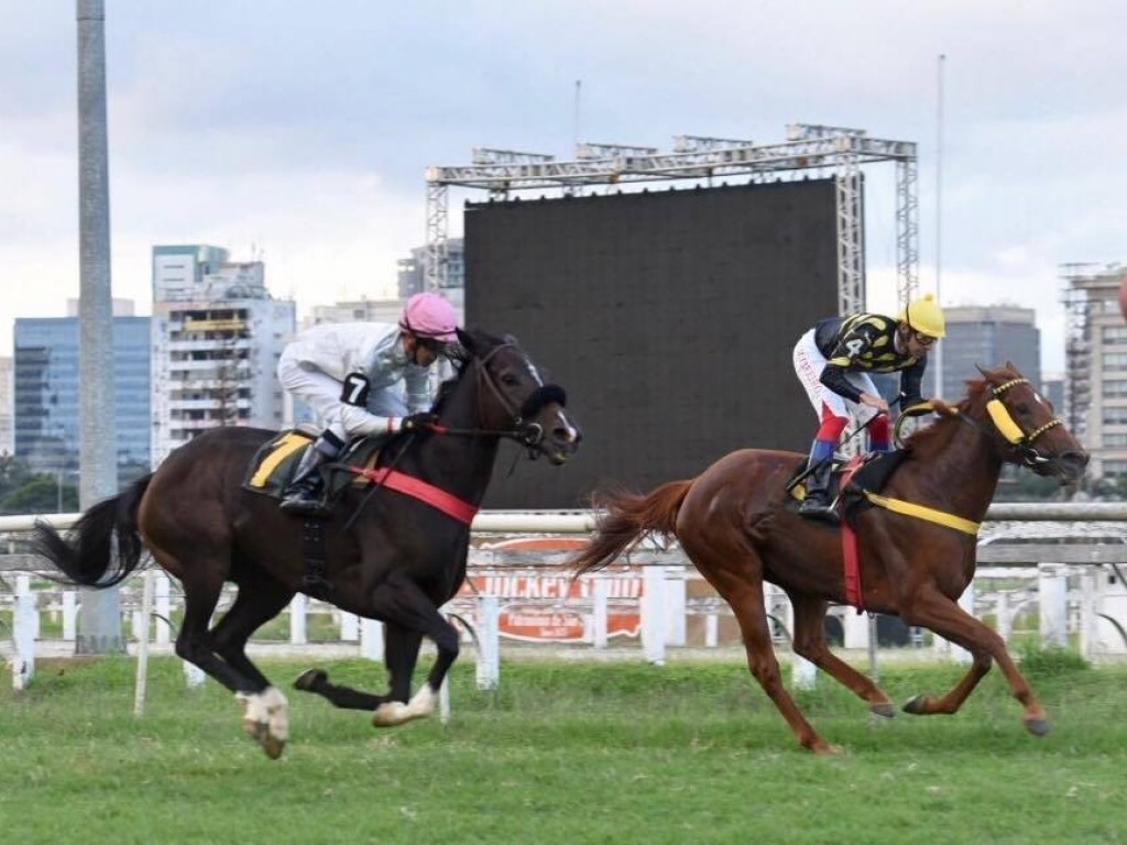 Foto: Na desclassificação de Friends of Gold, Veuve Fourny é bicampeã de G2
