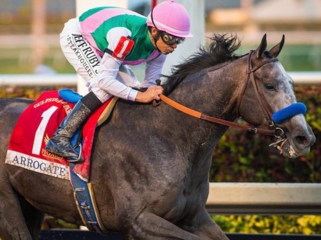 Foto: Em exibição de gala, Arrogate brilha na Pegasus World Cup (gr.I)