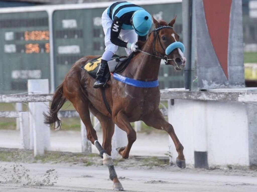 Foto: Love 'N' Happiness, uma Setembro Chove, sobra no GP Emerald Hill (gr.III)