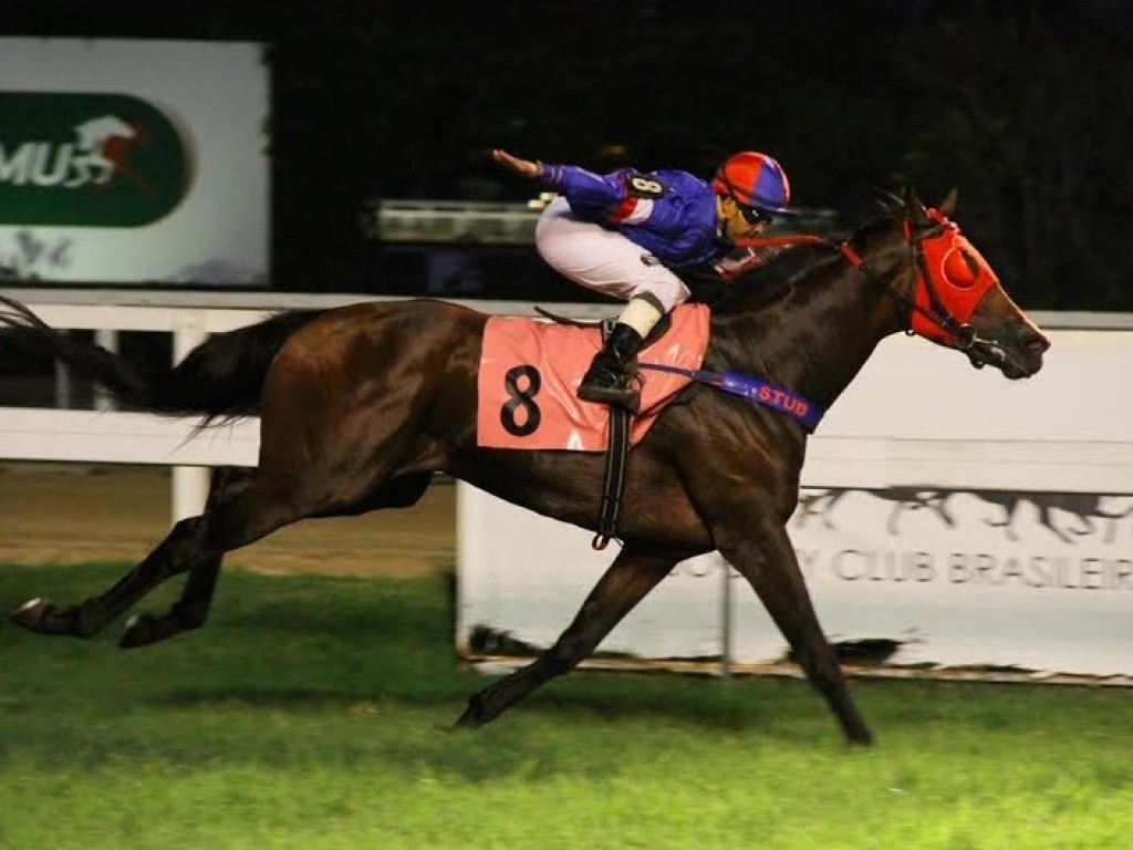 Foto: Invader esnoba inatividade e vence o Clássico Barão e Baronesa Von Leithner (L)