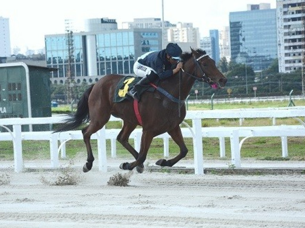 Foto: My Girl domina o Clássico Imprensa (L)