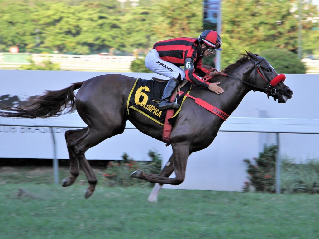 Foto: Jolie Olímpica fica próxima do recorde no GP Adayr Eiras de Araújo (gr.III)