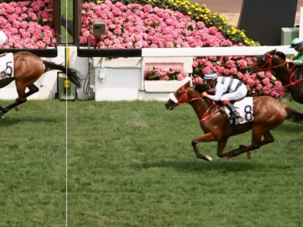 Foto: Hong Kong: Cash do Jaguarete forma a dupla em handicap