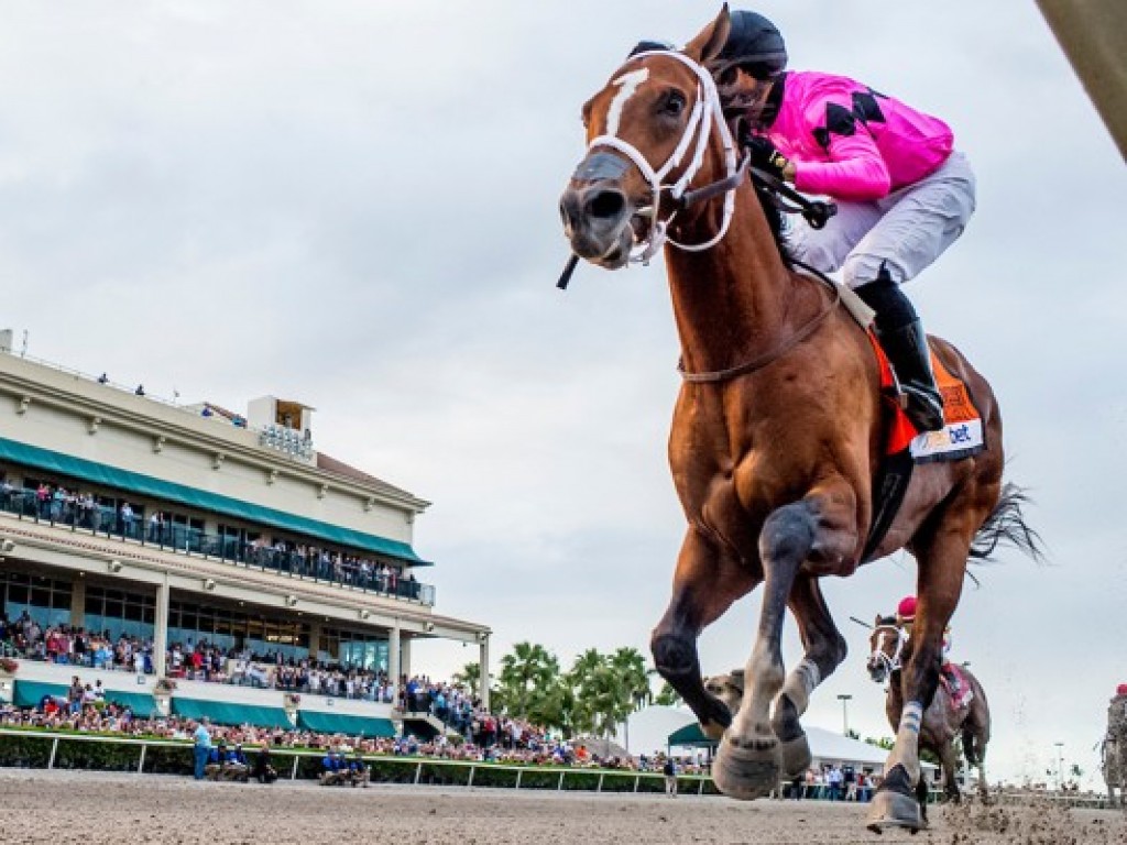 Foto: No 145º Kentucky Derby, audiência redobrada em solo brasileiro