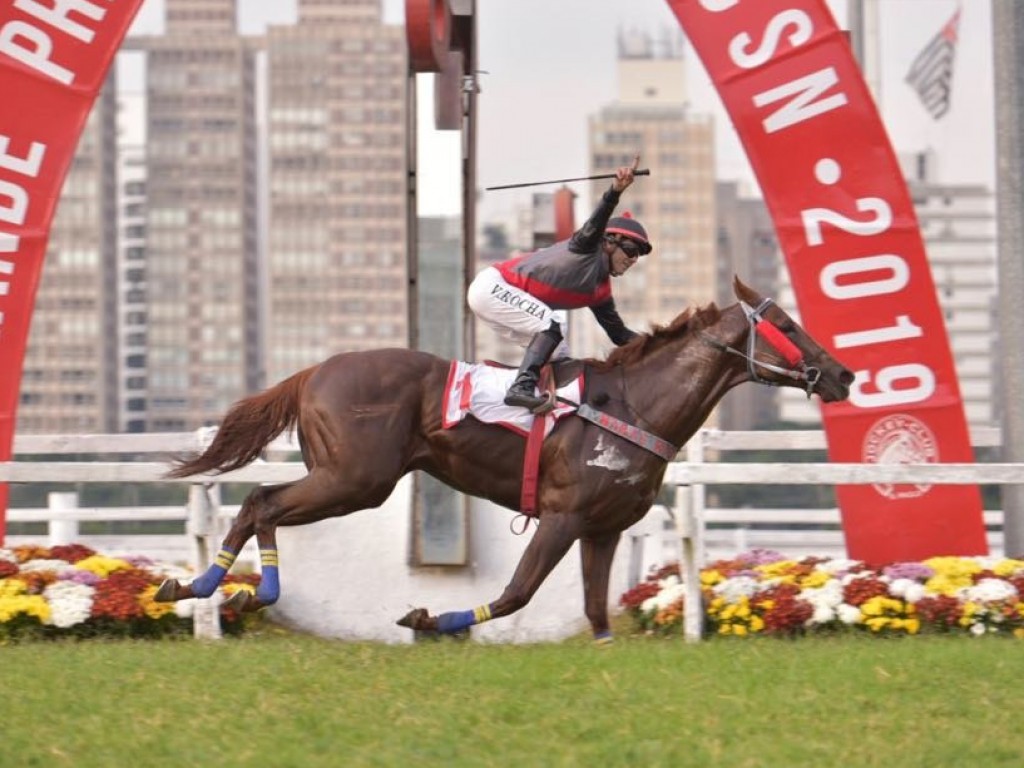 Foto: Amuletto rende o “tri” no GP ABCPCC para o Haras Rio Iguassu