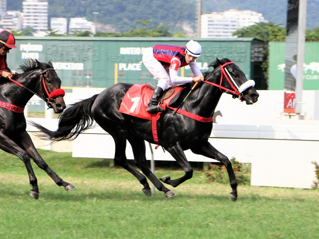 Foto: Gávea: Folia de Domingo venceu o melhor páreo do fim de semana