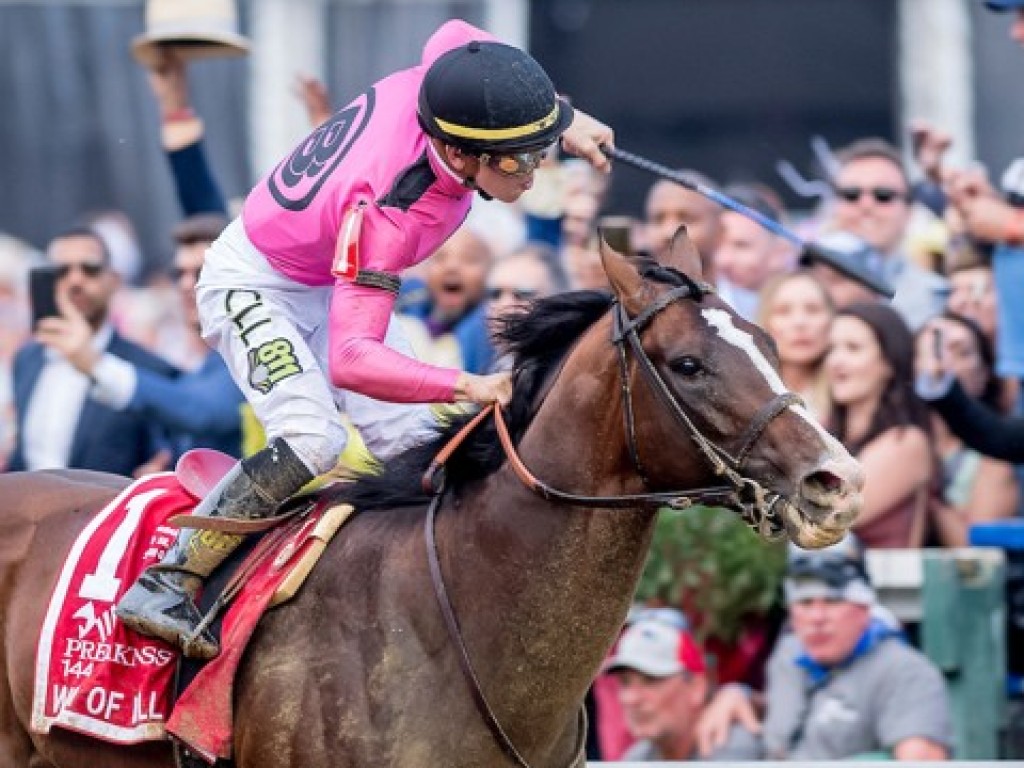 Foto: Da confusão em Churchill Downs à glória em Pimlico: War of Will vence o Preakness