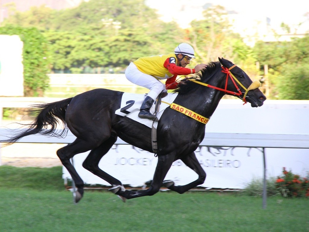 Foto: Silence Is Gold vence G3 e retorna a liderança da geração entre as potrancas