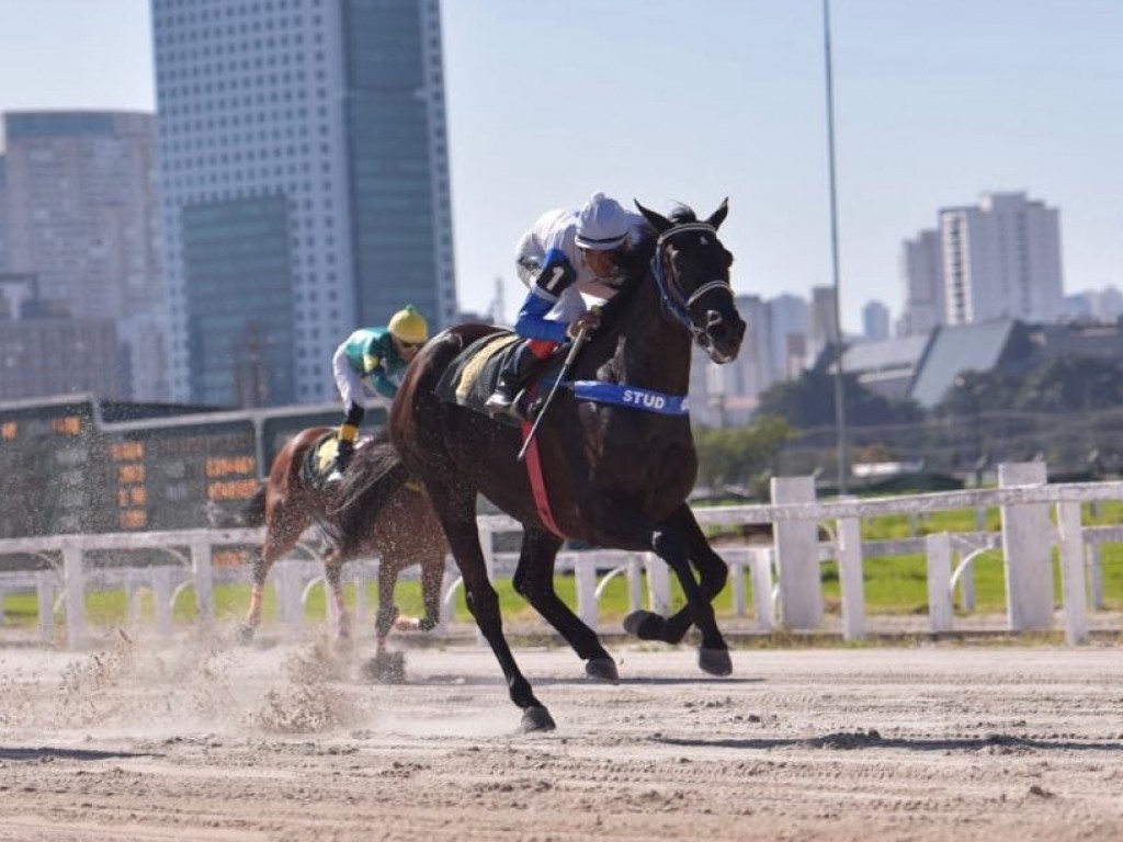 Foto: Ziska Blade conquista o GP Pres. João Carlos Leite Penteado (gr.III)