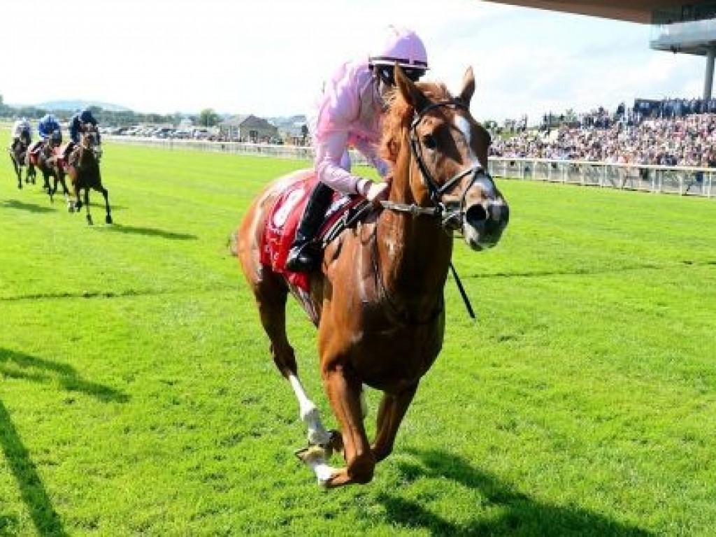 Foto: Sovereign comanda trifeta de filhos de Galileo no Irish Derby (gr.I)