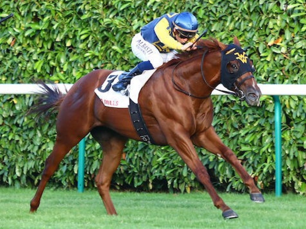 Foto: Na França, American Pharoah “ganha” seu primeiro vencedor clássico: Maven.