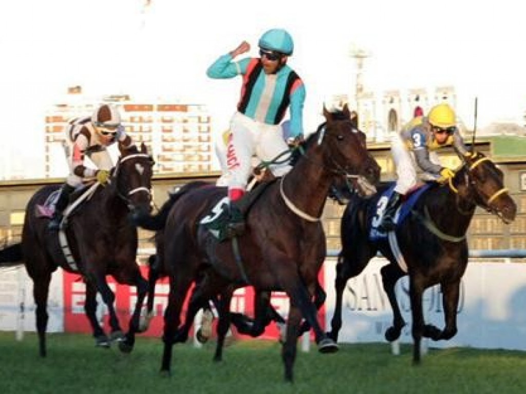 Foto: He Runs Away é eleito "cavalo do ano" na Argentina; Francisco Leandro é o melhor jóquei