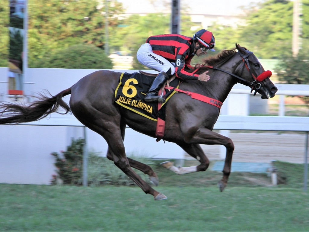 Foto: Jolie Olímpica é o Animal do Ano no Troféu Mossoró 2019