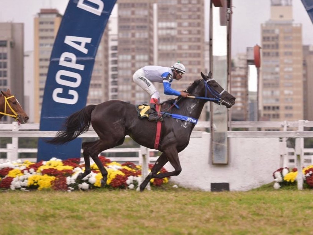 Foto: Sem escolher raia, Ziska Blade domina prova especial no gramado