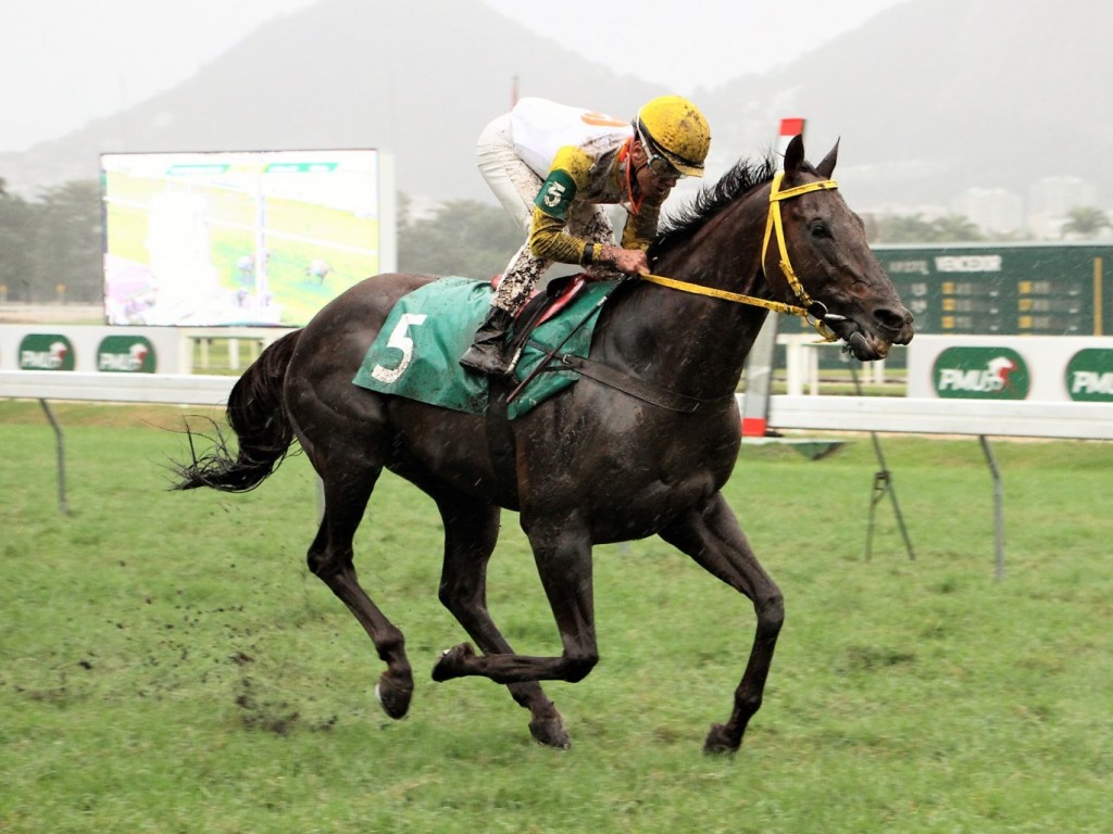 Foto: Debaixo de chuva, Deep End vence a Prova Especial Santarém