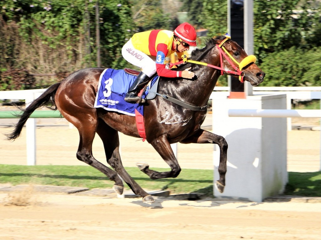 Foto: Wind of Change conquista seu primeiro êxito em prova de grupo