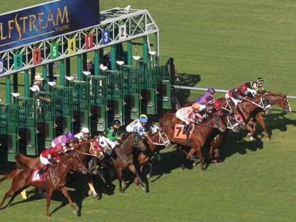 Foto: Na jornada da "Pegasus", recorde de US$ 40 milhões em apostas em Gulfstream Park