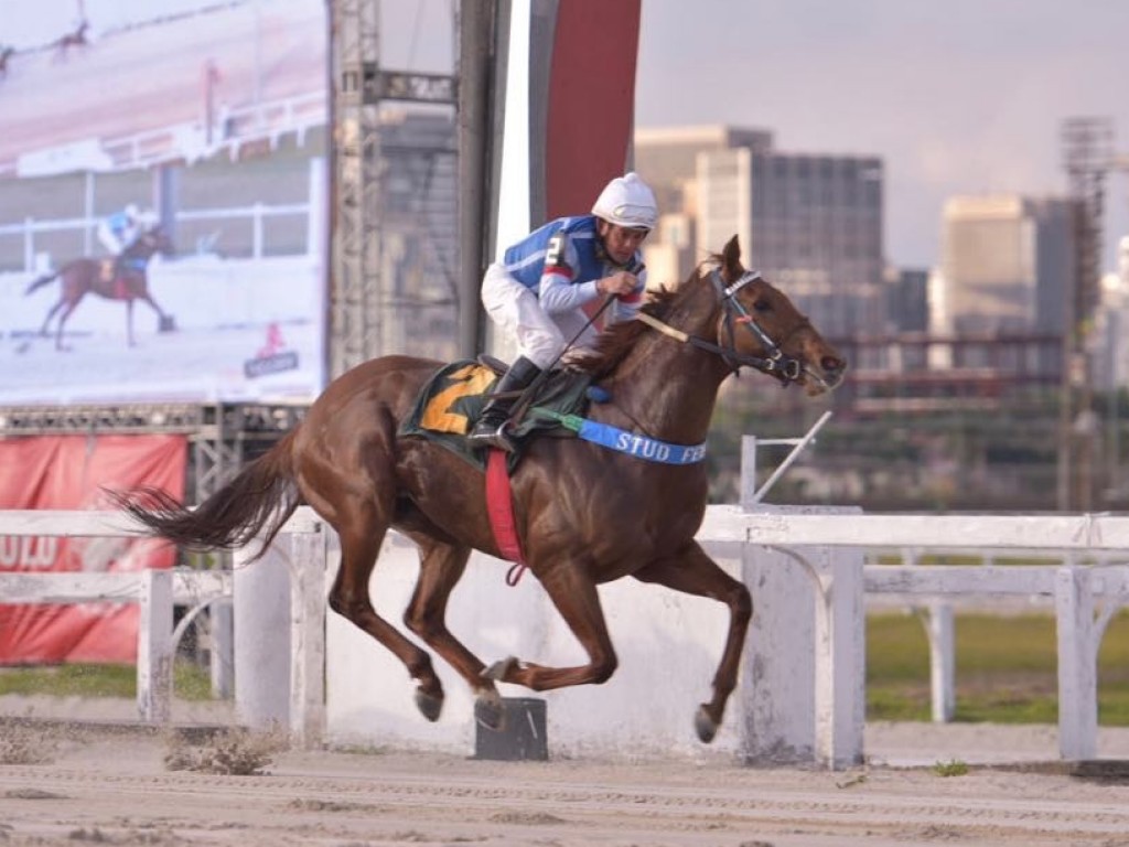 Foto: Tiger of Joy larga e acaba na Prova Especial Vicente Romano