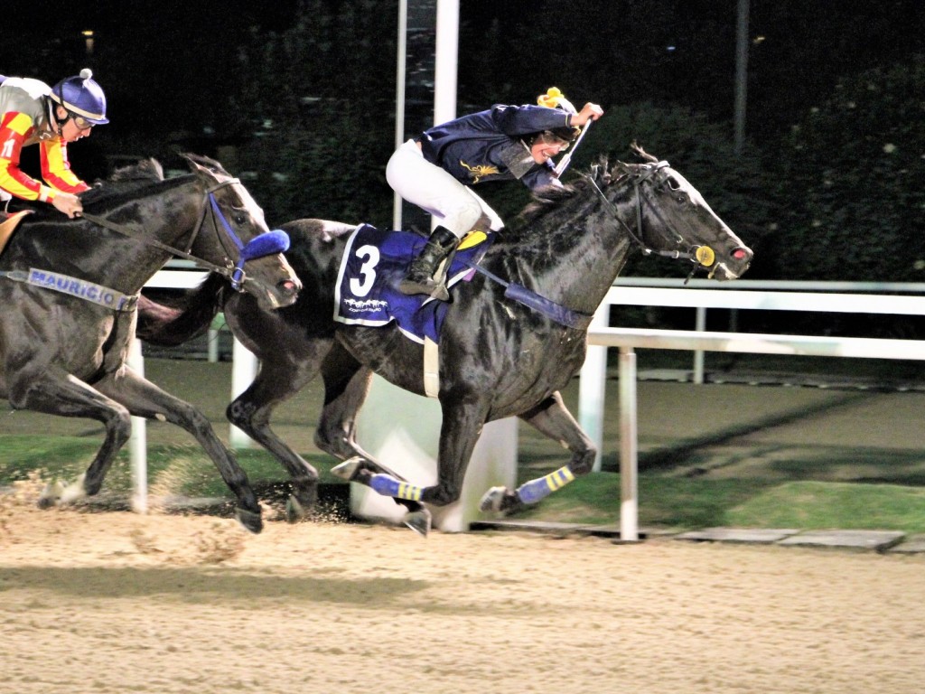 Foto: Joe Gold brilha na noturna e vence o GP Professor Nova Monteiro (gr.III)