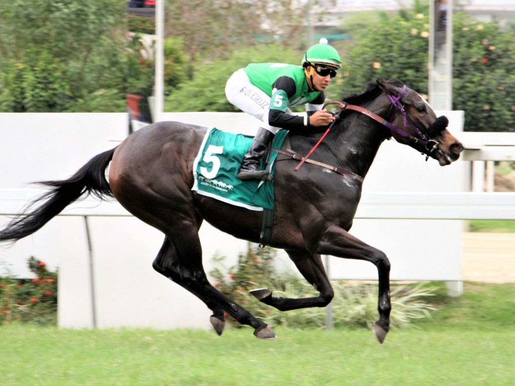 Foto: Itaperuna larga e acaba no GP Adhemar e Roberto Gabizo de Faria (gr.III)