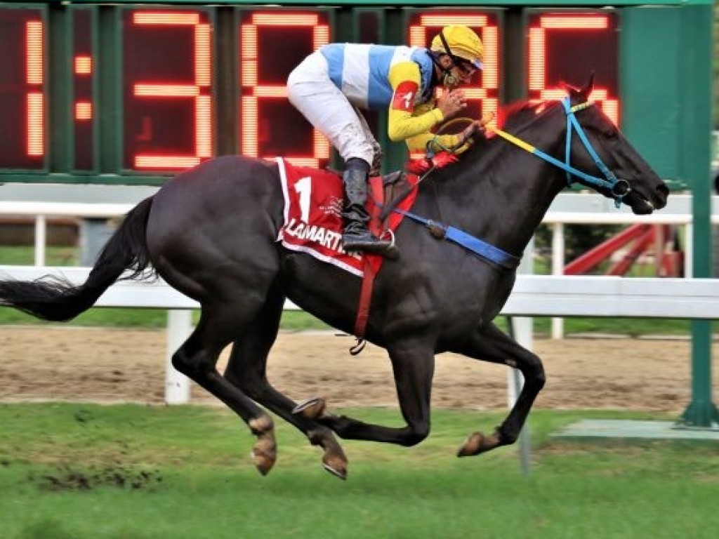 Foto: EUA: Lamartine e Flight Time encaram stakes em Kentucky Downs