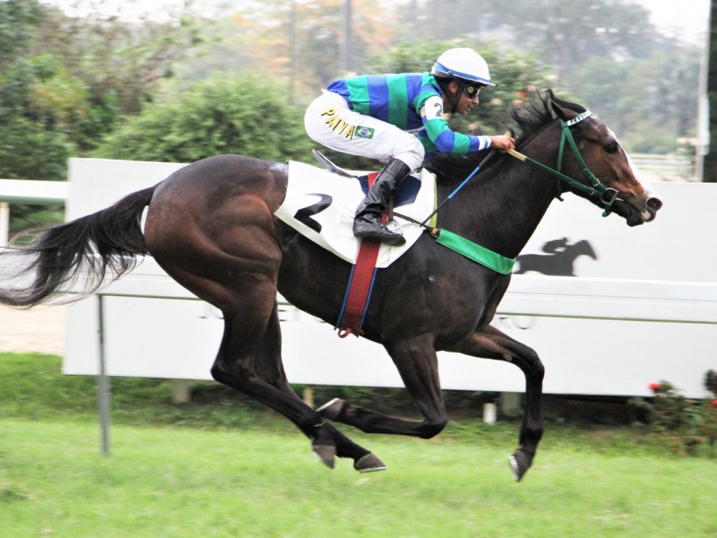 Foto: Gata Y Flor esnoba inatividade e vence a PE Teophilo de Vasconcellos