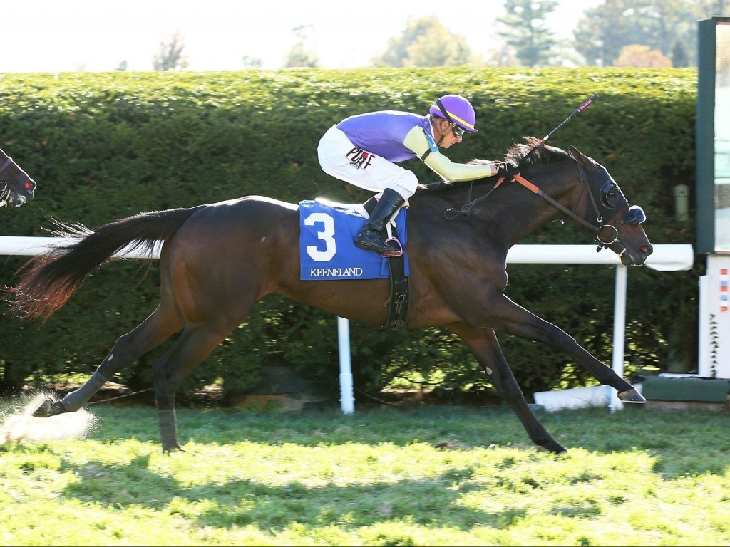 Foto: EUA: Bundibunan, filho de Bubbly Jane, vence allowance em Keeneland