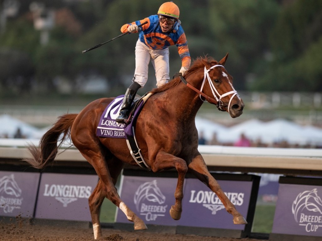 Foto: Vino Rosso, a estrela mor da Breeders’ Cup 2019.