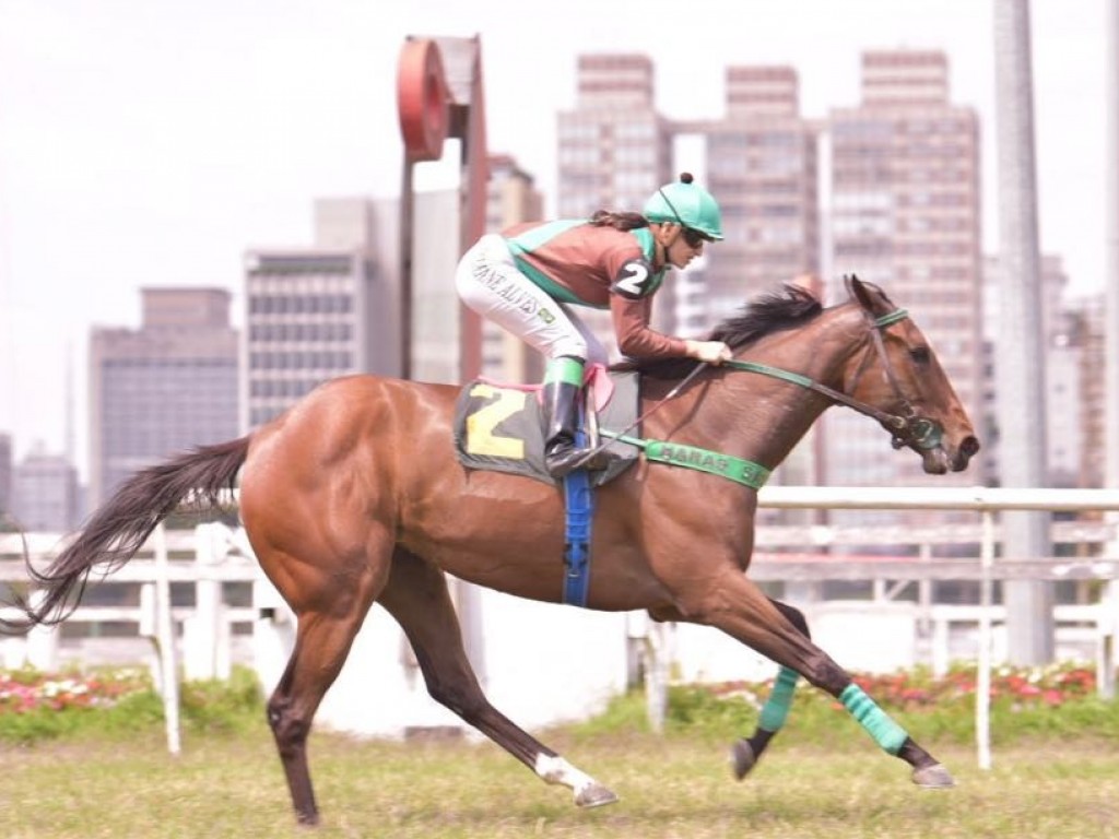 Foto: SP: na milha e meia, melhor para Another-Quitz