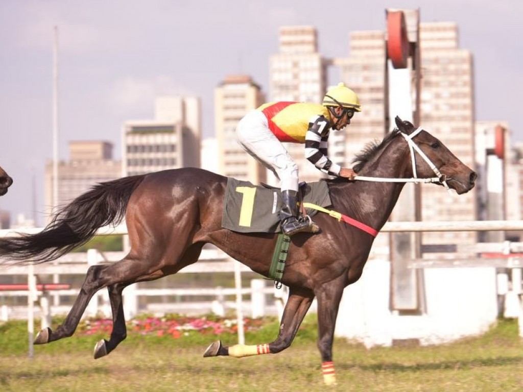 Foto: Lepate Goose só faz vencer em Cidade Jardim