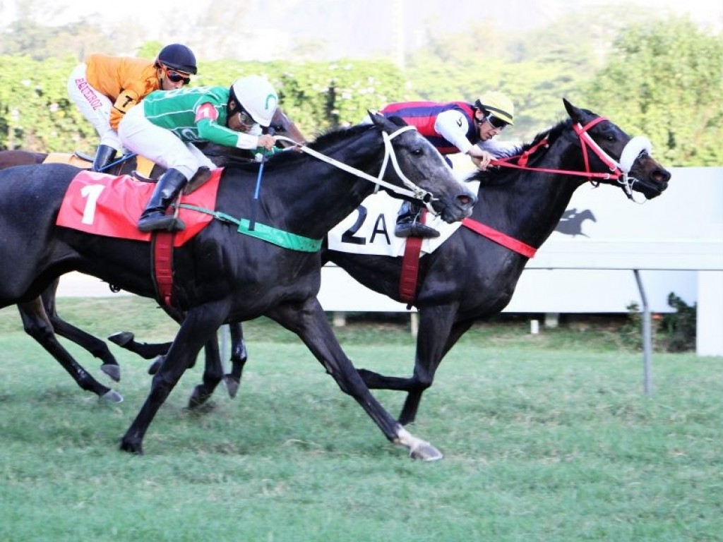 Foto: Helquis levanta o Clássico Octavio Dupont (L)